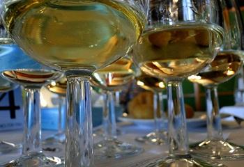 HNT: a Balatonfüred-csopaki borvidéken lesz az országos borverseny