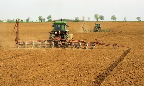 A kormány több agrárgazdasági konzultációs tanácsot hoz létre