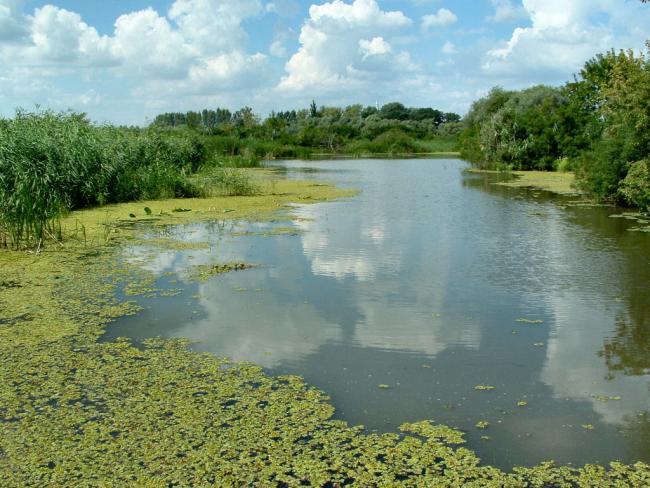 A Tisza-tó vízrendszerének megújítása stabilizálja a Tisza-Körös-völgy vízgazdálkodását