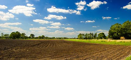 Földtörvény - Az új szabályozás hatása az agrárpolitikára