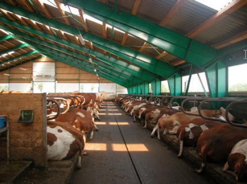 Főként állattartó telepeket korszerűsítenek uniós forrásokból Csongrádban