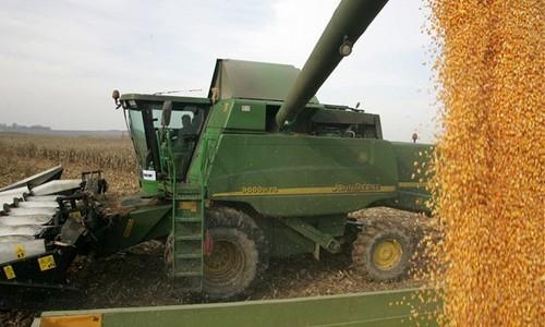Mintegy 5,65 tonna a kukorica hektáronkénti átlaghozama Zalában