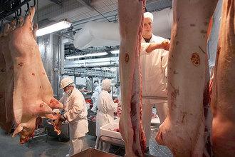 Szakmai szervezetek: a húsipar termelése csak áfacsökkentéssel növekedhet