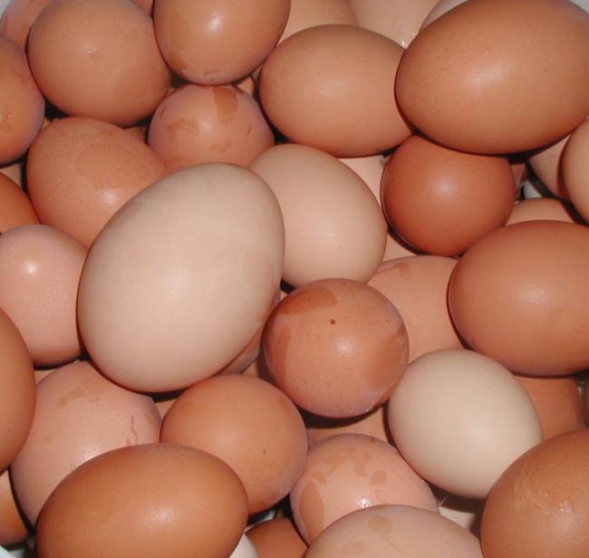 Étkezési célra alkalmatlan, külföldi tojásokat vontak ki a forgalomból Kecskeméten