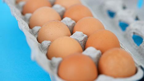 Baromfi Termék Tanács: a tojás kilogrammra vetített árát is láthatóan kell kiírni