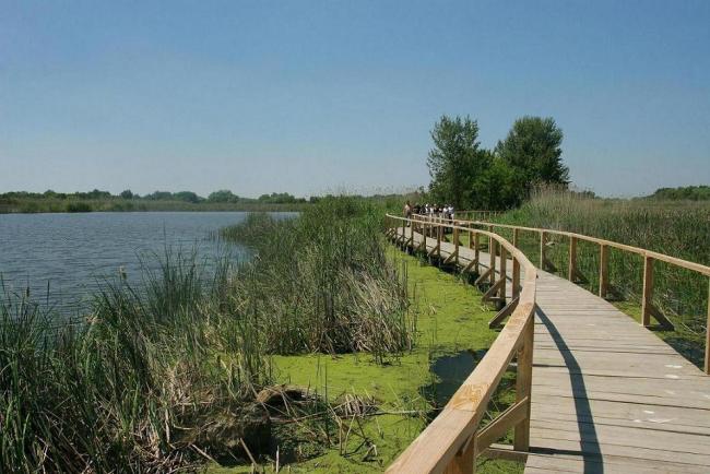 Fazekas Sándor: sikertörténet a Tisza-tó önszabályozó halászati hasznosítása