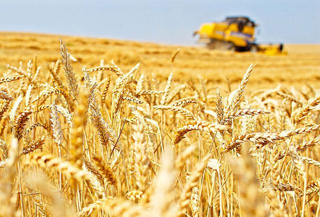 Czerván György: Magyarország mezőgazdasága valóban jobban teljesít