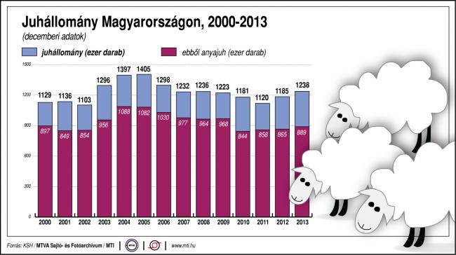 A juhállomány alakulása Magyarországon, 2000-2013