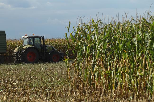 Fazekas: a magyar mezőgazdaság 1990-es termelési szintjét kell elérni