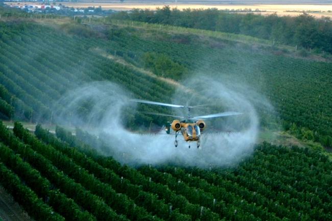 4. ábra Kétrotoros helikopter szőlőpermetezésben 