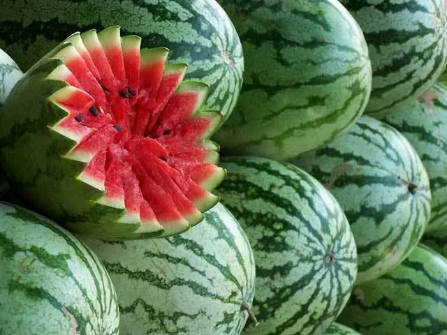 Az áruházláncok a jövő héten már magyar görögdinnyét árusítanak