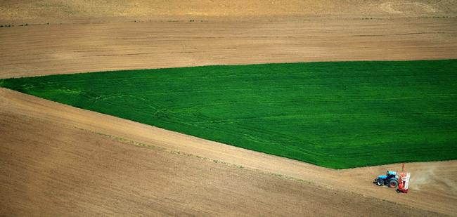 MOSZ: károkat okoz a mezőgazdaságban a bejelentett kormánydöntés