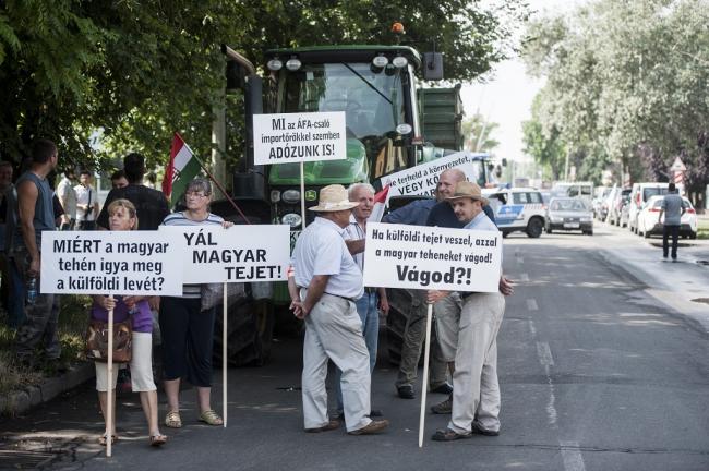 Tejtermelők demonstrációja - Pécs Pécs, 2014. július 8. Résztvevők transzparensekkel a kezükben a Mecsek Füszért logisztikai bázisa előtt Pécsett a tejtermelők demonstrációján 2014. július 8-án. A termelők a tiltakozással a fogyasztók figyelmét szeretnék felhívni arra, hogy részesítsék előnyben a magyar tejtermékeket az importtal szemben, valamint figyelmeztetni akarnak egyes, szerintük aránytalanul nagy mennyiségben import tejtermékeket forgalmazó kereskedőket arra, hogy preferálják a magyar tejtermékeket. MTI Fotó: Sóki Tamás