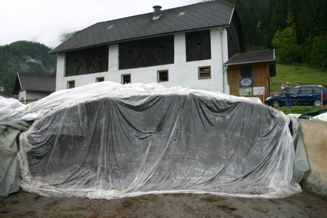 3. kép: Ausztria 2010: eső ellen fóliával védett silófal (Orosz, 2010)