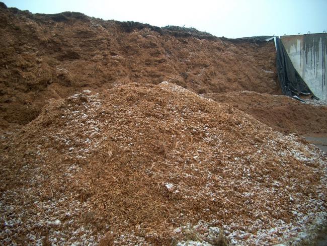 6. kép: Magyarország 2008: lebontott kukoricaszilázs szabad ég alatt tárolva (a magban télen is fenn áll az aerob romlás kockázata)