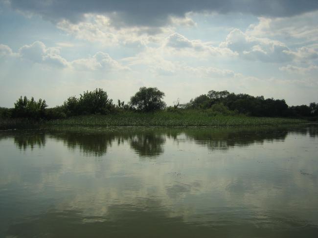 Elkezdődött a Tisza-tó apasztása a téli vízszintre