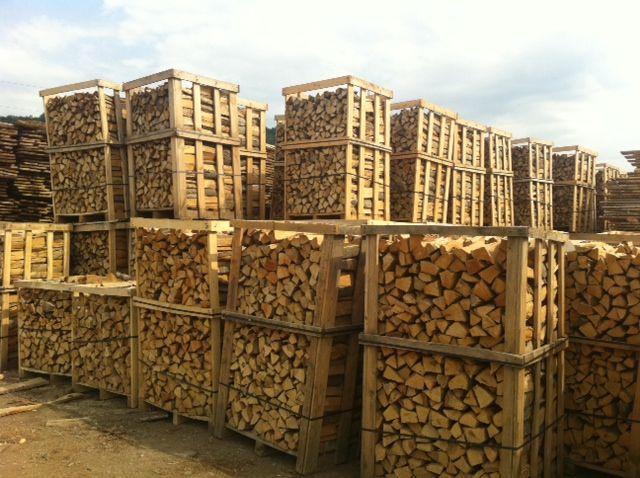 FM: minden állami erdőgazdaság részt vesz a tűzifa-értékesítési akcióban