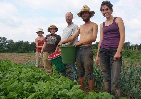 Szövetkeznek a magyar közösségi gazdálkodók