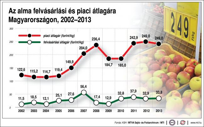 Az alma felvásárlási és piaci átlagára Magyarországon (2002-2013)