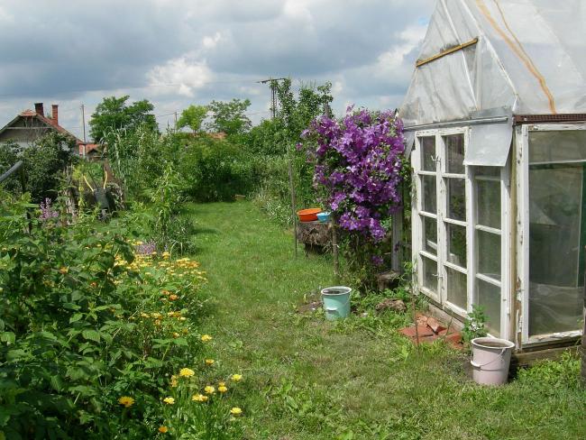 Az újra megművelt konyhakertek átalakíthatják a magyar vidék képét