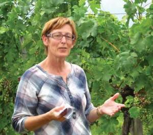 Mészárosné Pólya Diána, szőlő növényvédelmi szaktanácsadó