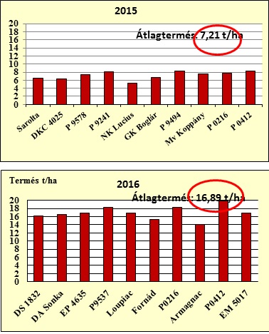 7. ábra A biológiai alapok és az évjárat hatása a kukoricahibridek termésére (Debrecen)