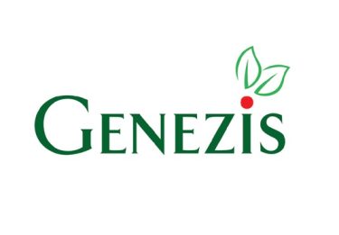 genezis_logo[1]