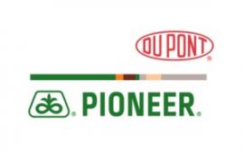pioneer_logo[1]