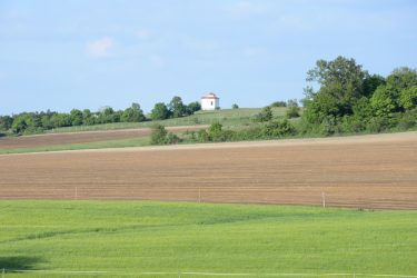 Néhány napig még beadhatja szankciómentesen az egységes kérelmet