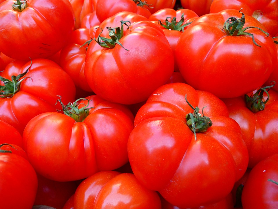 tomatoes-5356_960_720[1]