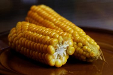 corn-on-the-cob-vegetable-food-food-drink-0e1c37-1024[1]