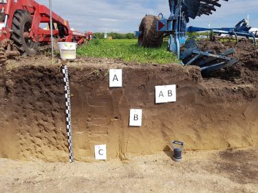 Miért fontos a pontos talajvizsgálat?