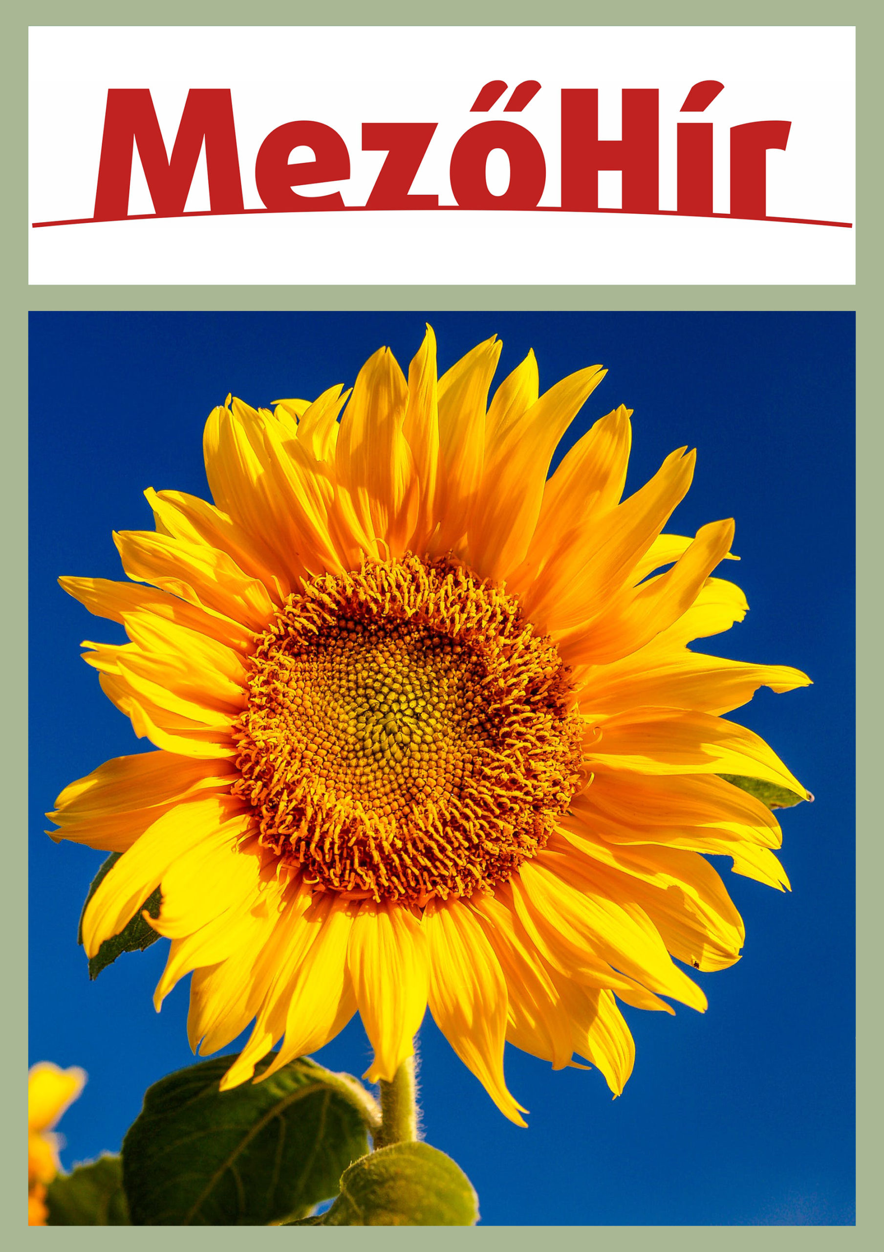 Mezőhír éves előfizetés