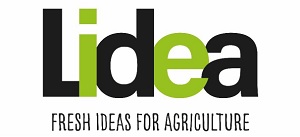 Lidea Logo