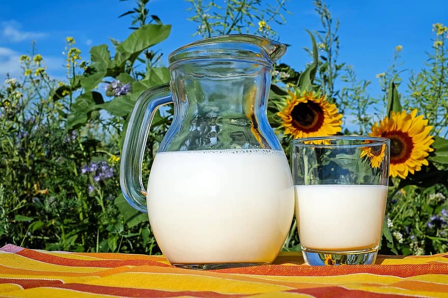 Milk Glass Fresh Healthy Drink Food Delicious Vitamins Strengthening