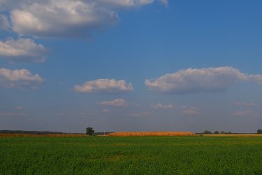 magyar mezőgazdaság