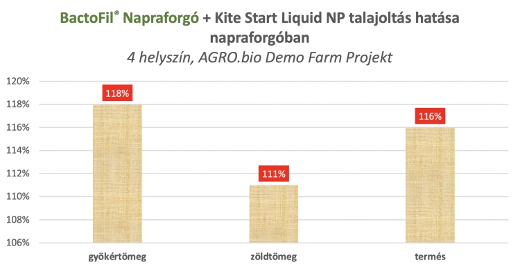 Kite Start Liquid NP -el együtt kijuttatott BactoFil® Napraforgó
