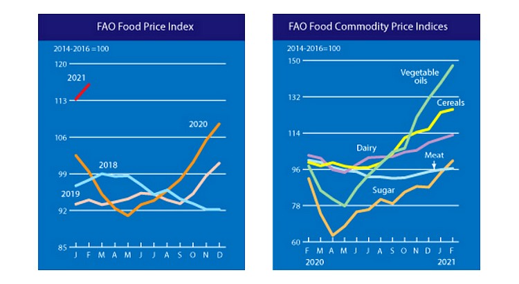 Árindex grafikon, FAO