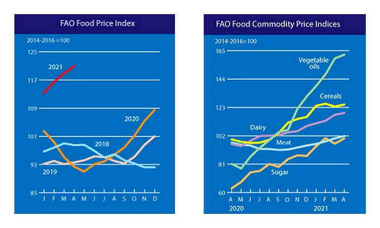 Mezőgazdaság, FAO élelmiszerárak