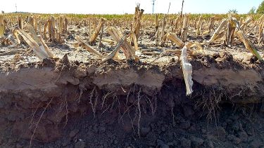 Mezőgazdaság, csapadék, talaj