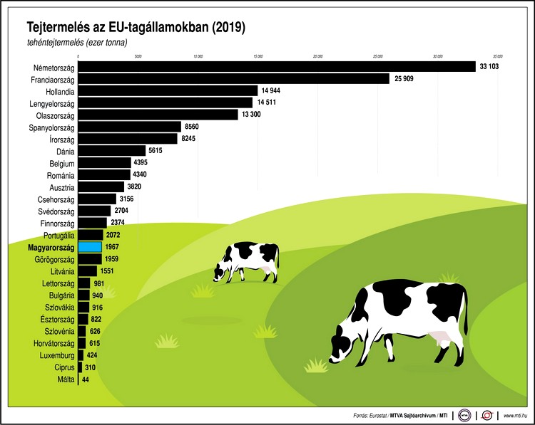 Mezőgazdaság, tejágazat