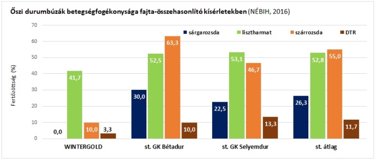 Grafikon