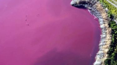Rózsaszín vizek az argentin Chubut tartományban