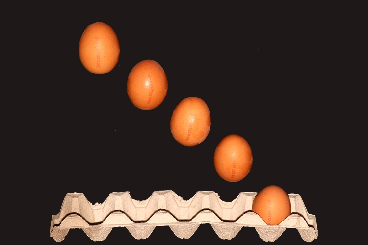 tojás
