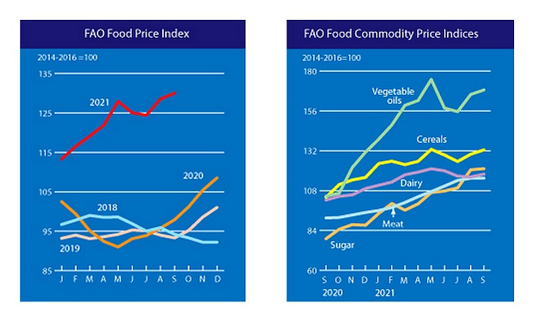 FAO élelmiszer árindex 2021