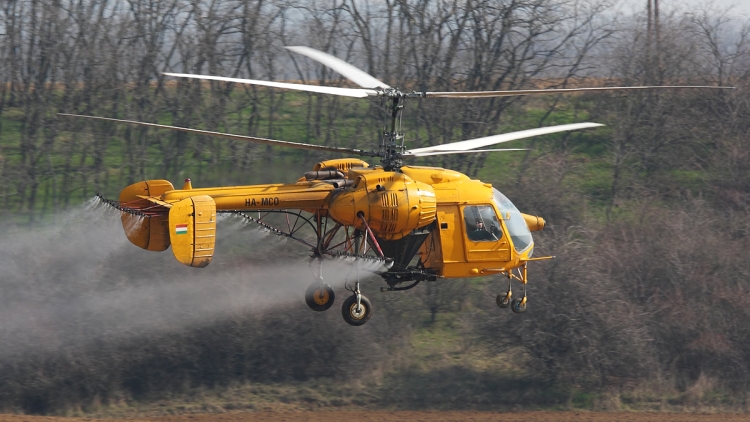 Permetező helikopter munka közben