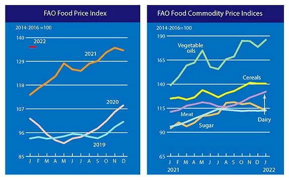 Kettő grafikon FAO