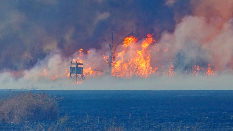Tűz a Kis-Balaton térségében