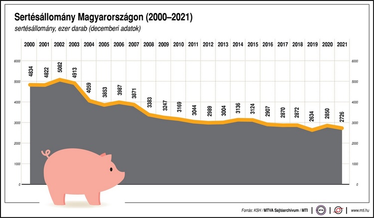 A magyarországi sertésállomány