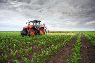 traktor kukoricaföld